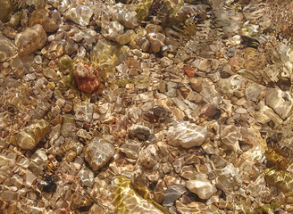 water, circles on the water, stones in the water, clear water, the concept of environmental friendliness and purity