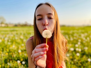 a skinny teenage girl in summer dress blowing dandelion in meadow