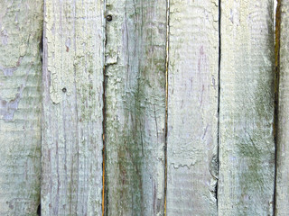 the texture of a gray-green wooden peeling fence made of planks
