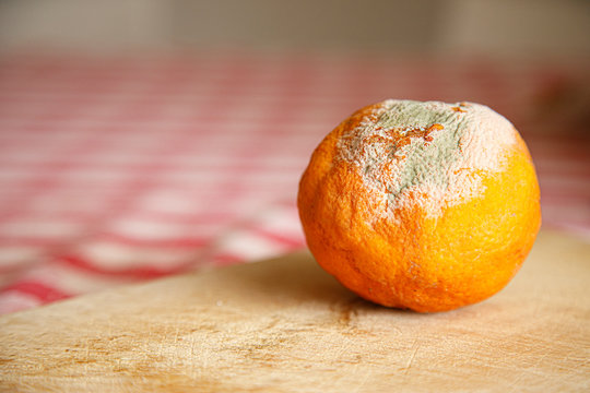 Arancio con la muffa su tavolo 