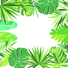 Fototapeta na wymiar Vector banner with green tropical leaves on a white background. Exotic botanical design.