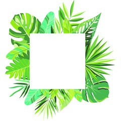 Sign with tropical leaves text space. Suitable for the concept of nature, relaxation and summer holidays. Vector illustration.