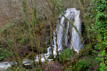 Río Altube - 19