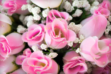 Rosas fondo