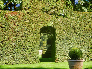 Box topiary sculpture seen through an archway cut out of box hedging found in Eyrignac Manor...