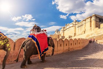 Elephants and tourists in Amber Fort of Jaipur, Rajasthan, India