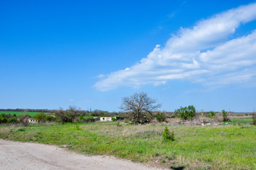 Rural calm scenery of green field, abandoned unfinished houses and leafless tree under the blue sky with fluffy clouds.