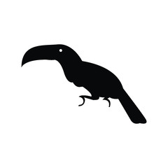 Toucan bird silhouette outline wildlife animal 