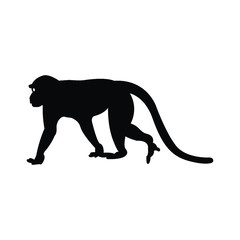 Walking apes monkey with silhouette and line art, ape, chimpanzee, © muhammad