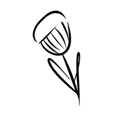 Flower doodle, cartoon, hand draw, isolated on a white background for packaging design, print on fabric, card, postcard, notebook, notepad, wallpaper. Bio, organic, natural. For cosmetics. Vector.