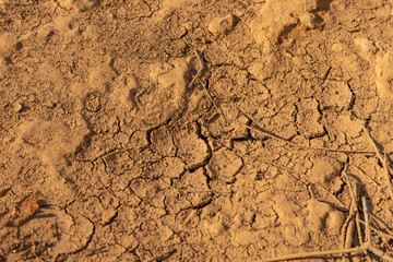 Dry cracked earth texture. Cracks in the dried soil. Desertification