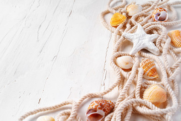 Fototapeta na wymiar Sea shells with rope on white wooden background, copy space. Summer vacation concept