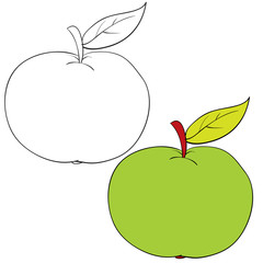 set of apple drawn in black lines and painted, isolated object on a white background, vector illustration,