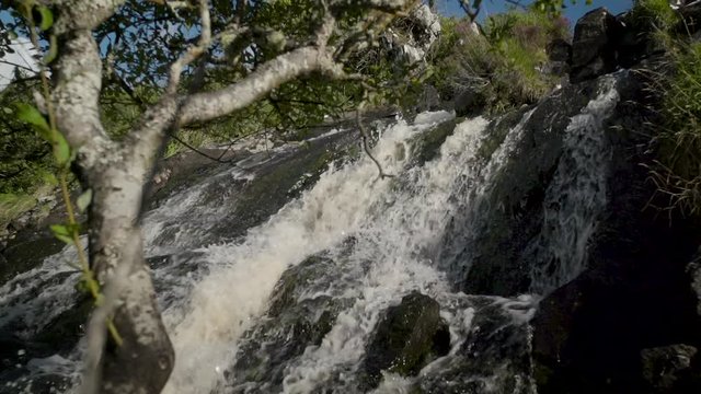 waterfall in the woods
