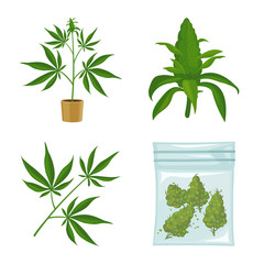 Vector design of cannabis and hemp icon. Set of cannabis and addiction vector icon for stock.