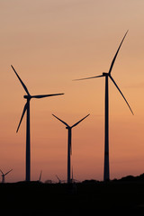 Fototapeta premium Windräder in der Abenddämmerung