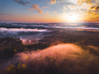 Fog and mist covering the forest in Lithuania