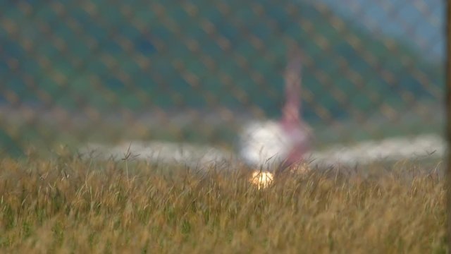 Airplane braking after landing