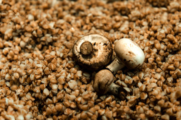 Buckwheat porridge with mushrooms. Selective focus.