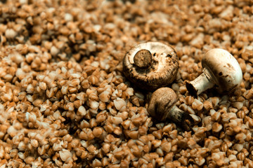Buckwheat porridge with mushrooms. Selective focus.