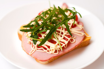 Sandwich of bread for toast, sturgeon, tomatoes, arugula, cheese and mayonnaise on a white background in a plate