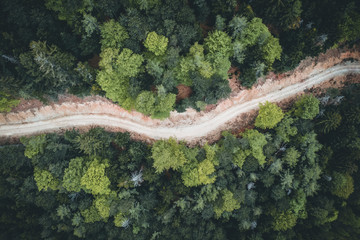 forest Road view from above in summer