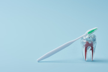 Plastic white toothbrush and artificial transparent plastic tooth on blue background