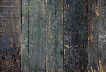 Aged wood texture. Background for banner. Old log. Dark brown