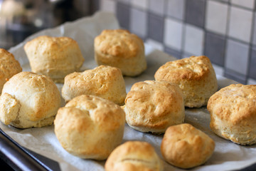 freshly backed home made scones