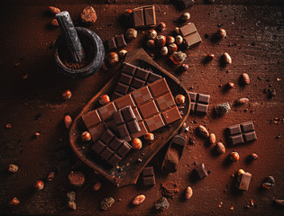 Cocoa powder, beans and chocolate bar pieces