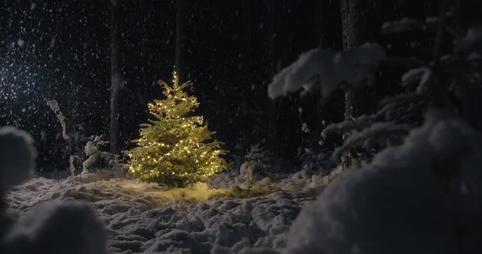 Decorated Christmas tree in winter wonderland forest at night