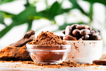 Organic cocoa powder, cocoa beans, grated cocoa lump on gray background. Copy space