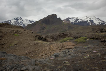 Icelandic Landscape 