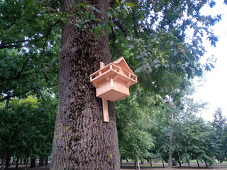 Beautiful birdhouse on tree. Birdhouse in the park.