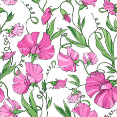 Pink flowers sweet pea on a white background, floral seamless pattern. Pattern for fabric, wrapping paper, web pages, invitations