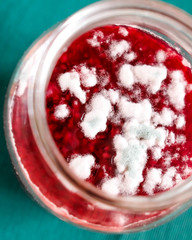 Mold for jam. Fungi grow on red sweet jam