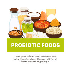 Vector probiotic foods. Best sources of probiotics. Beneficial bacteria improve health. Design is for label, brochure, menu, poster, advertising banner, article about diets, healthy proper nutrition