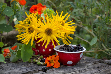 Colorful Autumn Flowers And Blackberries