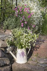 Cow Parsley In Vase With French Word For Lavender