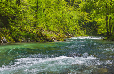 Fast clear waters of Radovna river in Vintgar Gorge Canyon near Bled, Julian Alps, Slovenia.