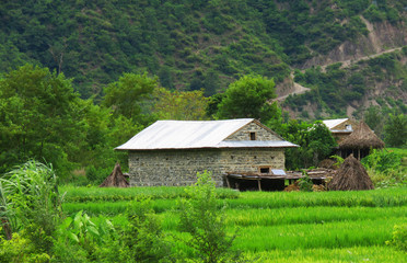 Fototapeta na wymiar Village House view from Nepal and the paddy fields around the House,the backside of the house is the mountain and the dangerous road.
