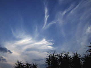 沖縄の青空