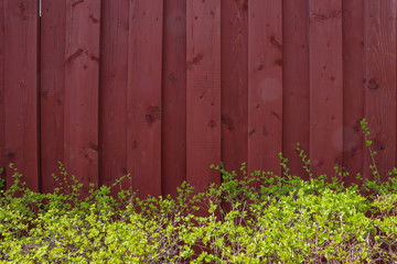 Fototapeta na wymiar wooden fence and green grass
