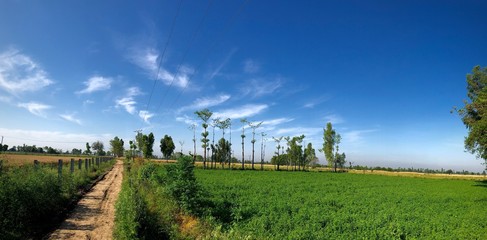green field and blue sky village click