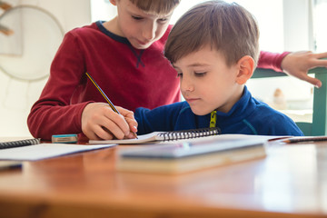 Brothers learning at home, Homeschooling	
