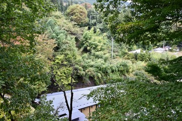 View of Japanese mountain