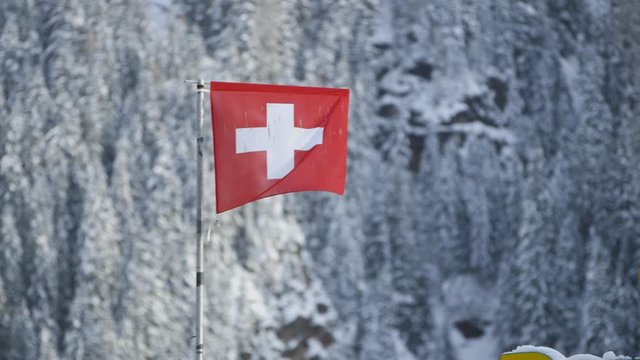 Pan from a flag of switzerland to a flag of graubuenden with snowy trees in the background