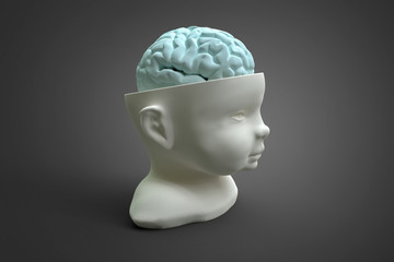 Model of the child's head and brain