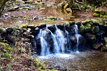 Fototapeta na wymiar small waterfall in the Japanese forest