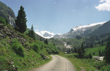 Fototapeta na wymiar landscape in the mountains mountain trees in the mountains mountain landscape in the mountains